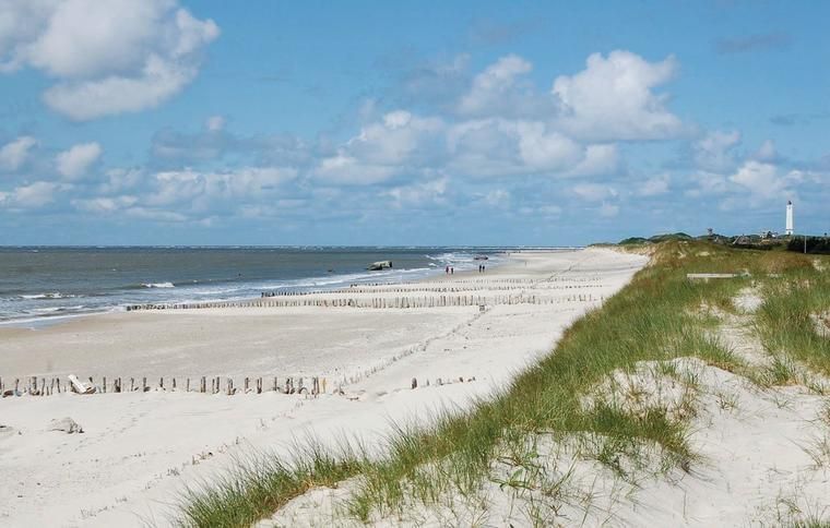Urlaub im Ferienhaus Blavand mit Hund NOVASOL.de